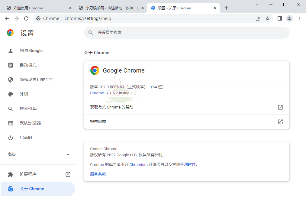 Google Chrome v102.0.5005.63增强版