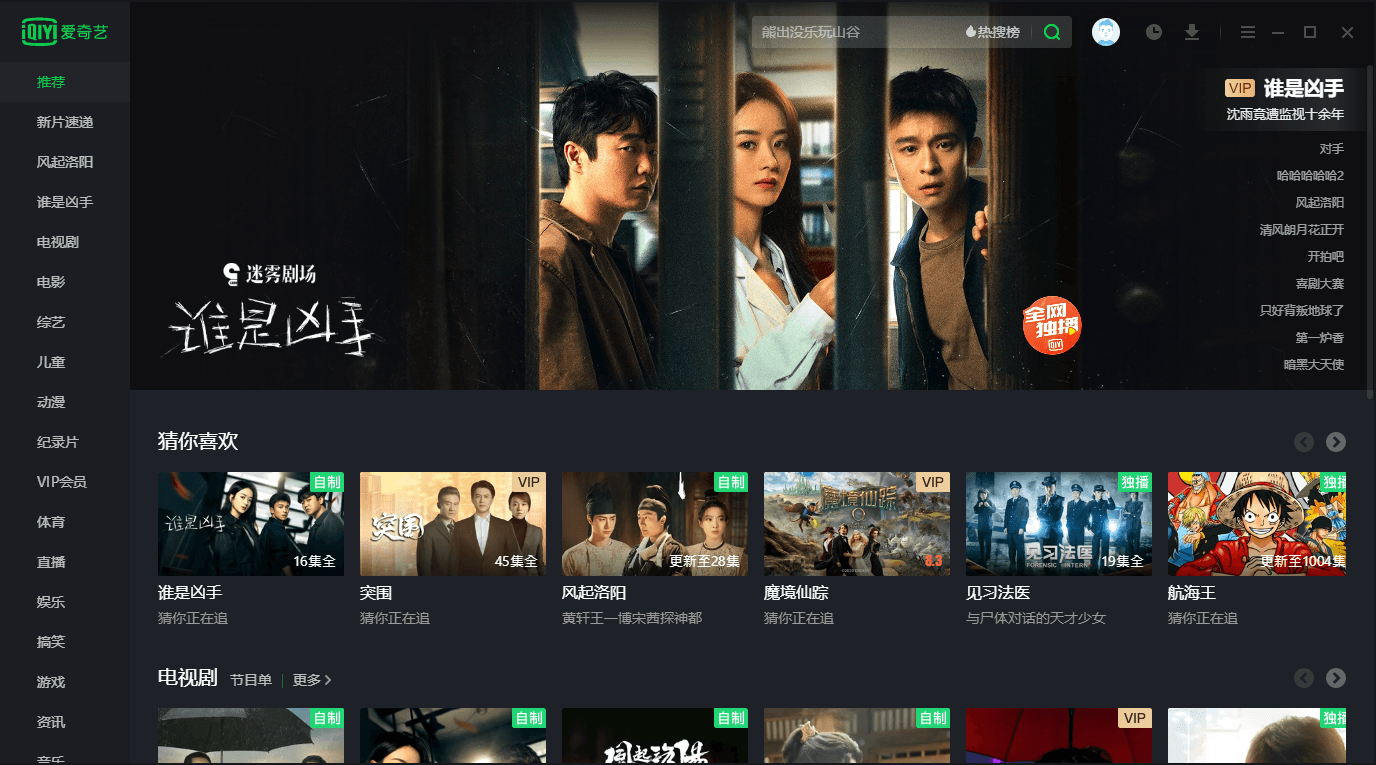 PC爱奇艺v9.4.156.5892绿色版